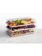 Duni Biopak bagasse tálca; 460x300x25 mm; 45 db/csomag